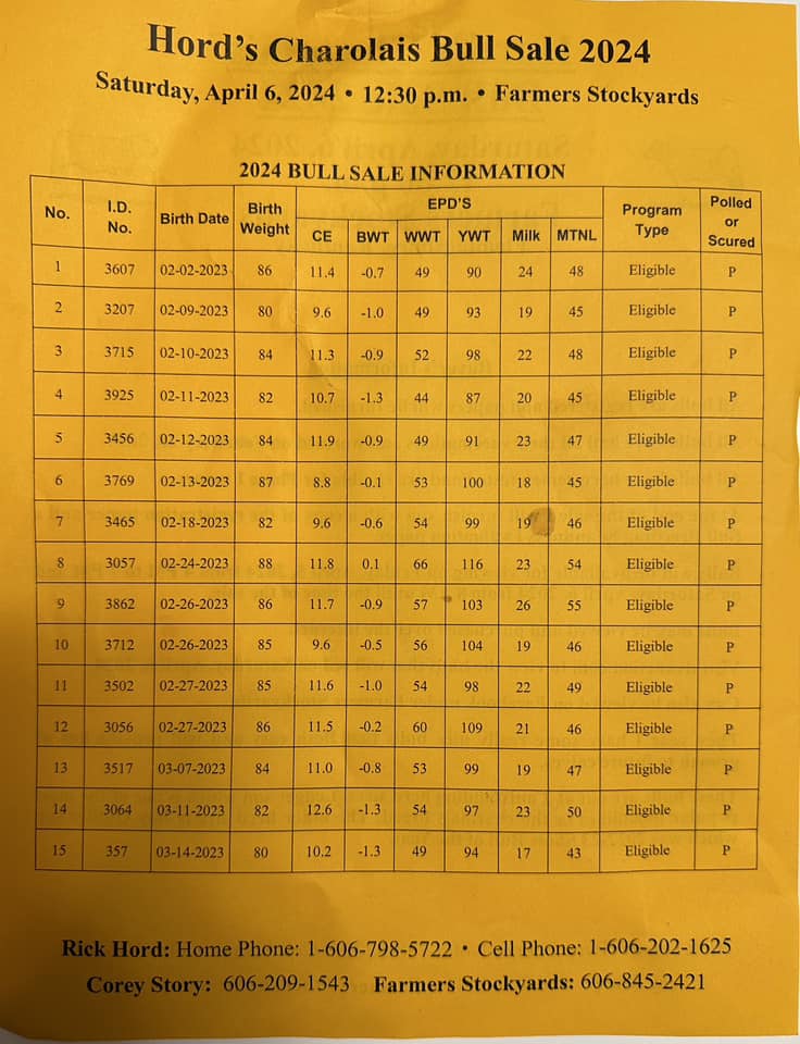 Farmers Cattle Sale Bluegrass Stockyards